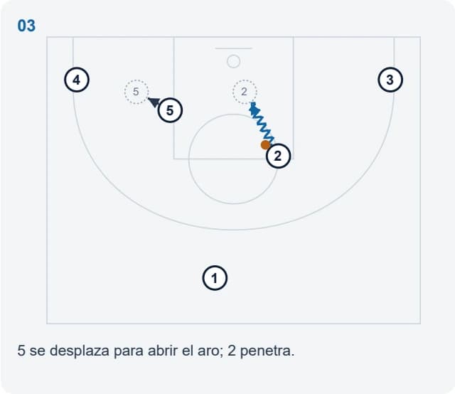 5 se desplaza para abrir el aro; 2 penetra.