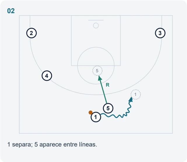 1 separa; 5 aparece entre líneas.